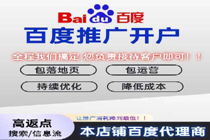 百度推广的投放策略与效果分析